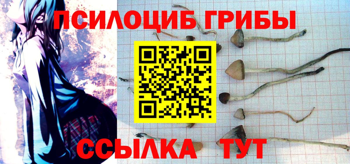 Псилоцибиновые грибы MAGIC MUSHROOMS Балашиха