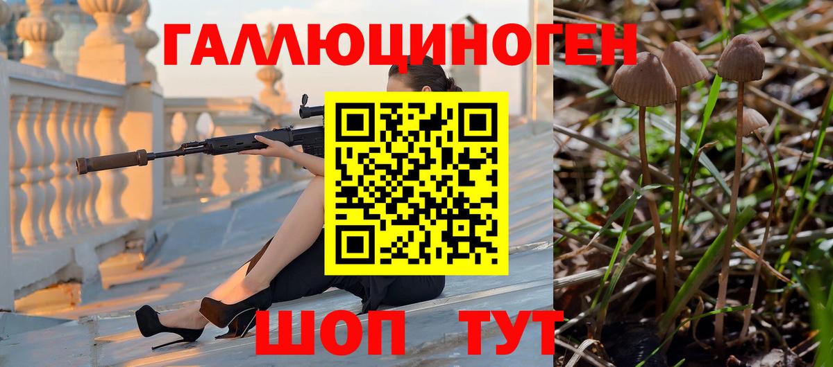 Псилоцибиновые грибы мицелий  даркнет сайт  Галлюциногенные грибы Psilocybine cubensis  Балашиха  Вход с VPN 